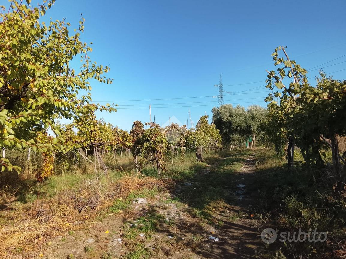 TERRENO A SAN SEBASTIANO AL VESUVIO - Vista 4
