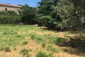 Casale e terreno edificabile circostante