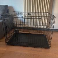 kennel per cani