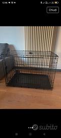 kennel per cani