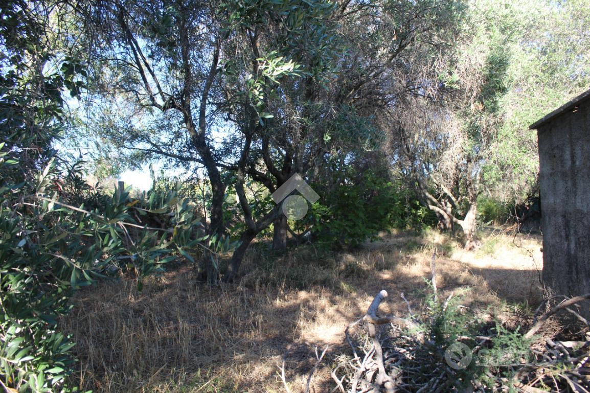 House in Carovigno, Brindisi - Vista 4