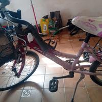 Bicicletta
