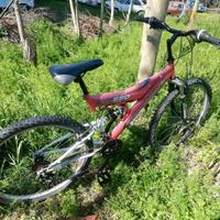 biciclette vari modelli e tipi a grosseto