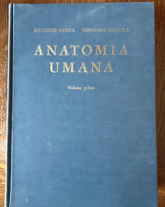 Anatomia umana