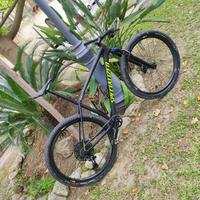 Mountain bike specialized