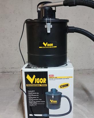 Aspiracenere Vigor professionale