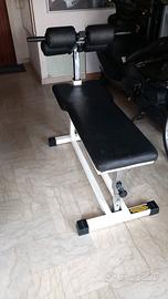 panca addominali technogym 