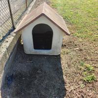 cuccia in cemento per cane di grande taglia 