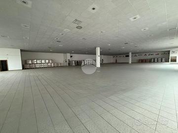 NEGOZIO A PALOSCO
