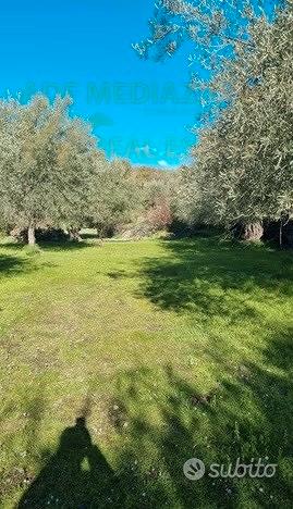 Terreno Agricolo A Ragalna - Vista 3