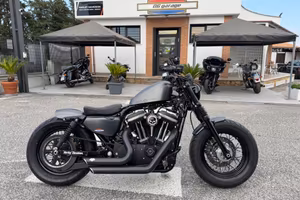Harley-davidson Sportster Forty Eight special