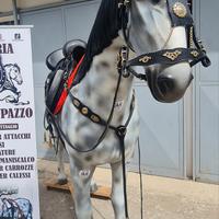 SELLE ABBINATE CON TESTIERA REDINI PETTORALE CODIE