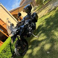 Tiger 1200 gt pro tris di borse permuto