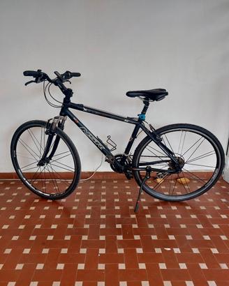 bici da uomo