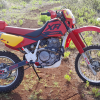 Xr 600r dallara