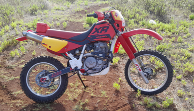 Xr 600r dallara