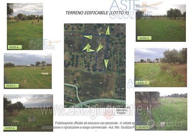 Terreno Agricolo Triggiano [A406819]