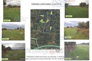 Terreno Agricolo Triggiano [A406819]