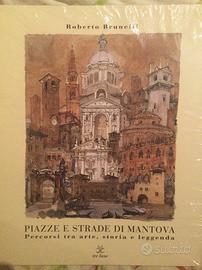 PIAZZE E STRADE DI MANTOVA 