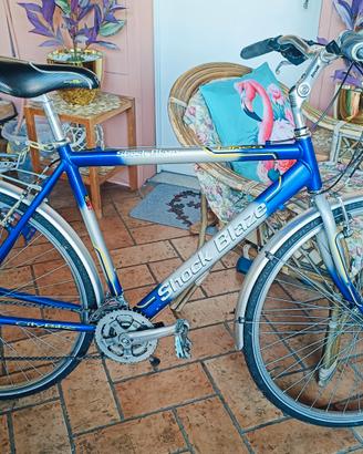 Bicicletta Tipo (City Bike) Shock Balze 