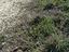 Immagine 14