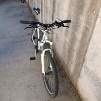 Bicicletta MTB Carraro telaio in Alluminio 