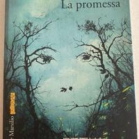 La Promessa Libro Giallo Nordico