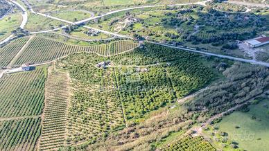 Terreno agricolo - Melilli