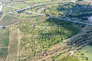 Terreno agricolo - Melilli