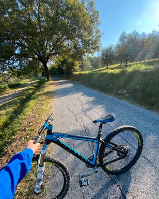 Bici dartmoor