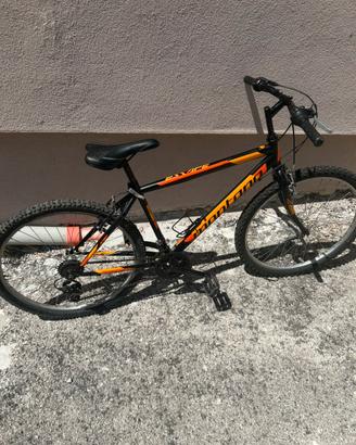 Bicicletta montana 26”