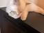 Immagine 3