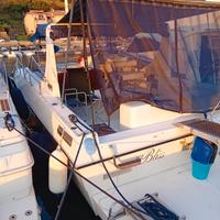 Natante ITM 35 Orion