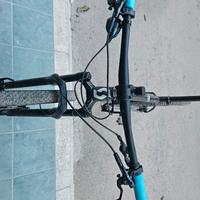 Mtb Scott scale Carbonio 1x12 gx 2023 full