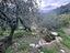 Immagine 13