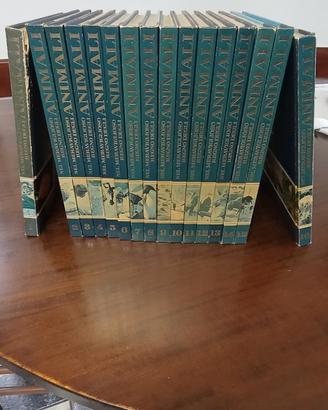 Nel meraviglioso regno degli Animali