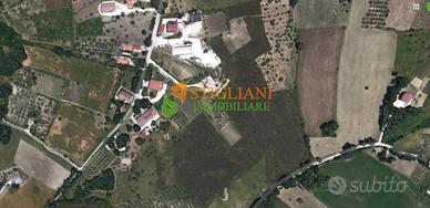 Terreno Agricolo, Contrada Colle Arso - Campobasso