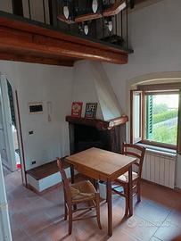 Mansarda con soppalco Cantagrillo