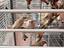 Immagine 6