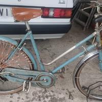 Bici superba donna