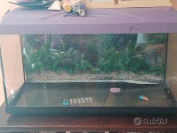 Aquario 100lt