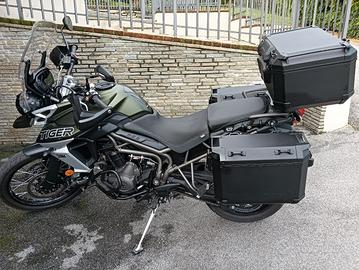 triump Tiger 800