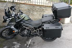 triump Tiger 800