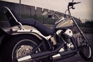 Softail Custom 2009