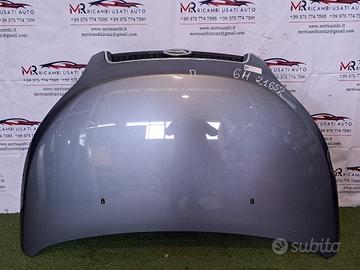 COFANO ANTERIORE DAIHATSU Terios 2Â° Serie 53301B4