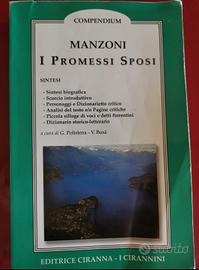 "I Promessi Sposi" - con varie Sintesi e Analisi