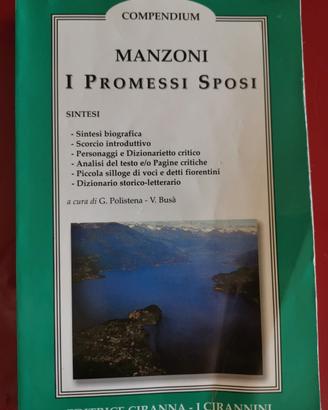 "I Promessi Sposi" - con varie Sintesi e Analisi