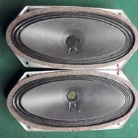 Rari Altoparlanti Grundig e  Tweeter Videoton