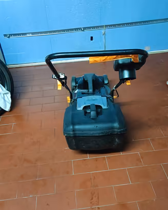 rasaerba elettrico