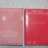 2 libri houellebecq